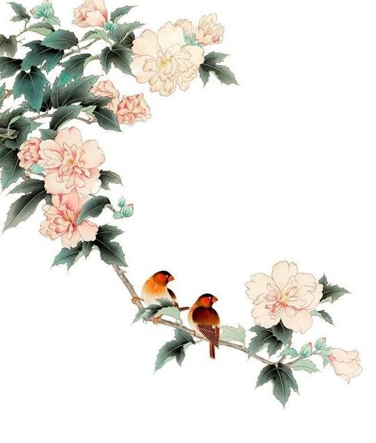 png免抠丨中国古风工笔画牡丹梅花鹿孔雀鸟花卉ps设计素材