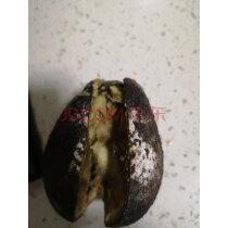 宝宝4个月可以吃什么水果