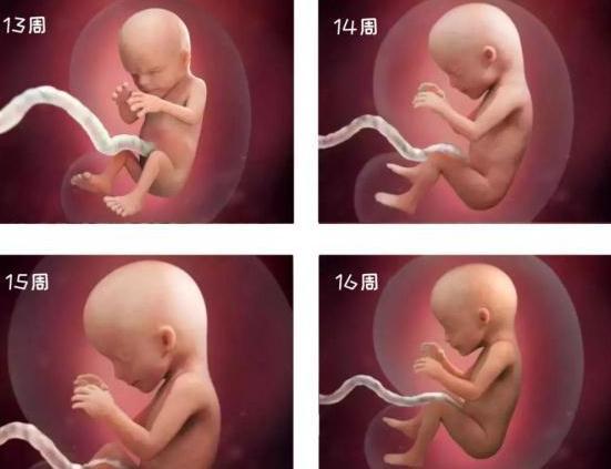 孕期影响胎儿发育的三个方法