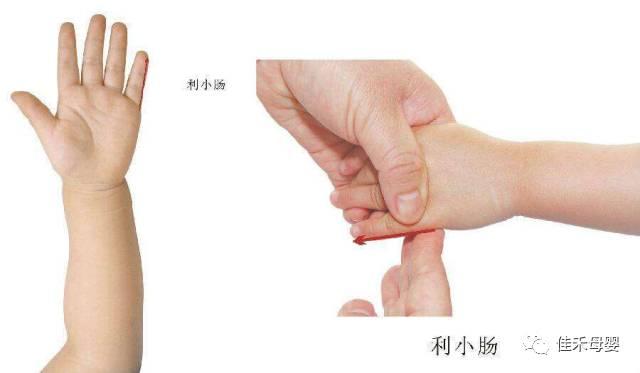 盘点小儿推拿全身穴位图