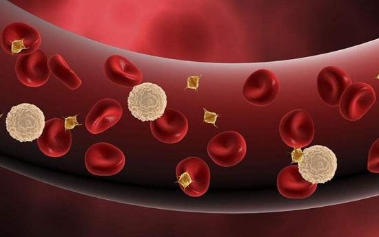 地中海贫血是什么病严重吗