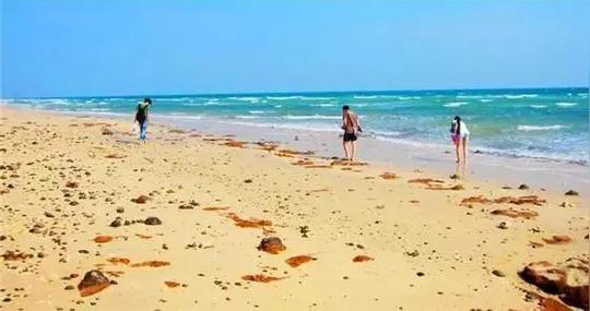 3公里海岸线海风,沙滩,落日,海钓,捡贝壳…….