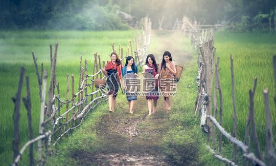 乡村美女摄影素材下载,乡村美女摄影模板下载,道路,乡村,农田,美女