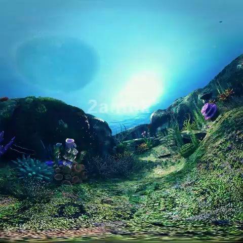 3d海底世界,凌晨两点视频素材网,视频素材,实拍素材,视频素材下载