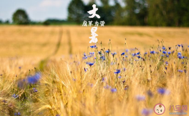 表达天气凉快的优美句子