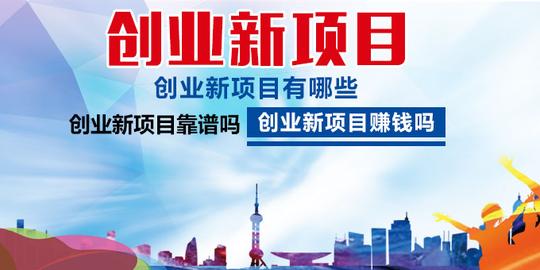 创业新项目