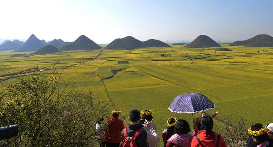 【罗平油菜花摄影图片】罗平风光旅游摄影_往南飞_网