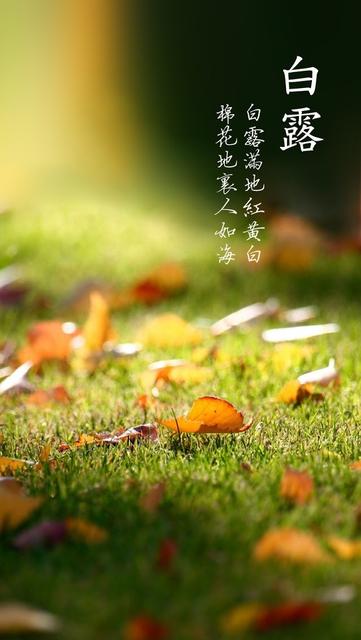白露为什么是昼夜温差最大的节气