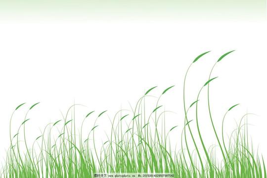 狗尾草绿色草丛清新草地园林墙纸墙贴植物花卉插画