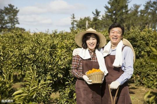 未来5年，农村迎来红利期，3个项目早布局早赚钱