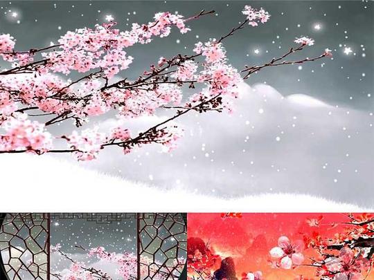 雪中梅花led视频素材