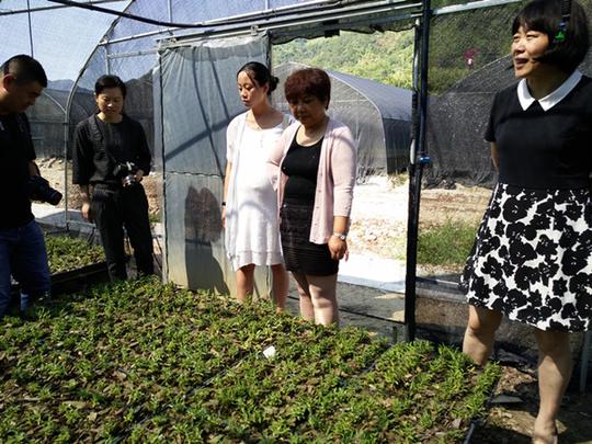 霍山女人-霍山县妇联集中开展妇女创业扶持转移支付资金项目督查