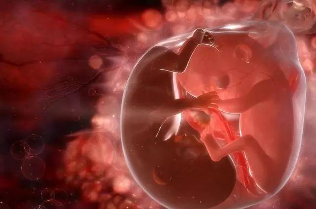 孕期如何预防胎儿脐带绕颈