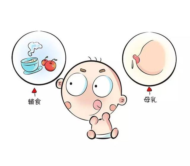 6个月的宝宝吃什么辅食好