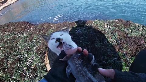 去海边拍照用什么软件拍