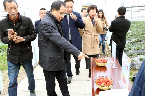 建立班子成员联系返乡创业项目,为返乡创业项目提供全程"保姆式"服务