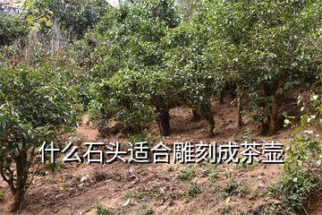 用石头做的杯子可不可以用来喝水？