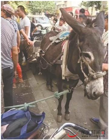 石家庄市驴头的长尾关键词有什么