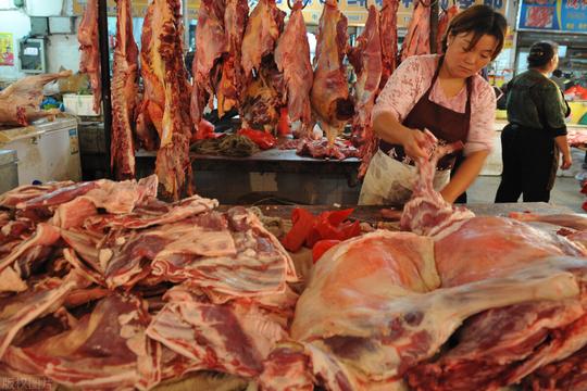 鲜羊肉65一斤，“羊贵妃”太疯狂，餐馆生意火爆，羊肉啥时降?