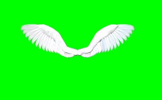 【绿幕素材】天使的翅膀{看简介}