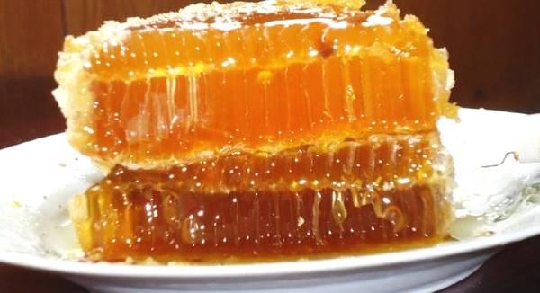 女性要多吃碱性食物吗