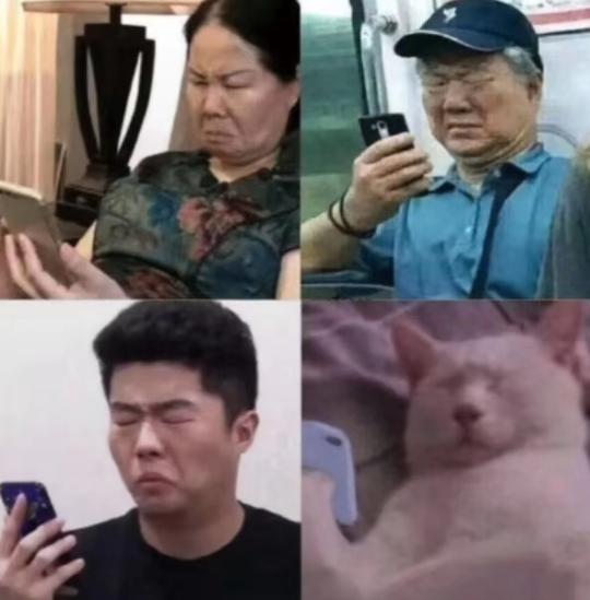 抖音地铁老头看手机表情包分享_wishdown.com