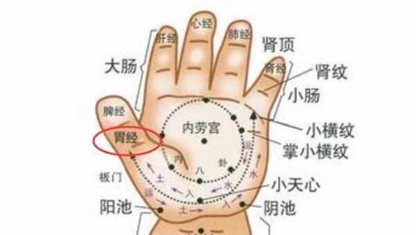 调理脾胃的小儿推拿手法