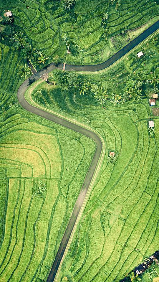 航拍田野风景图片素材