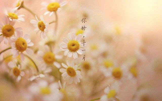 2019年九月再见十月你好的句子