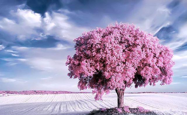 值得收藏的简短句子