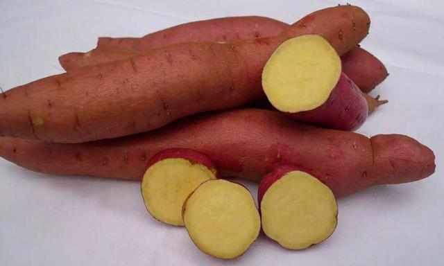 消化不好的人可以吃地瓜吗