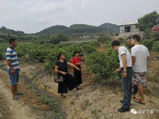 诏安两项目荣获漳州市青年英才优秀创业项目