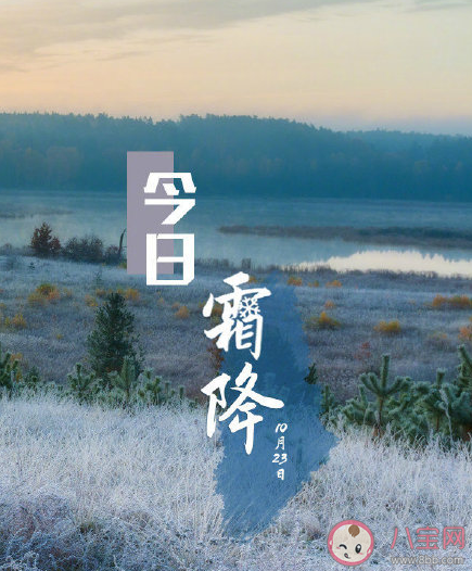 天冷穿秋裤的搞笑说说