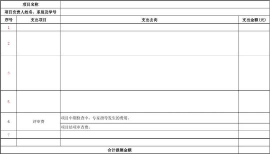 大学生创新创业经费支出明细表