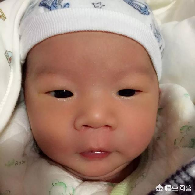 不排卵子吃什么好