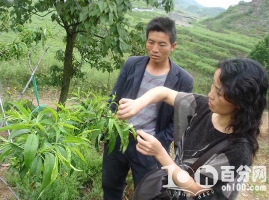农民的创业创新意识,能够极大地推动农村的经济发展,带动村民发家致富