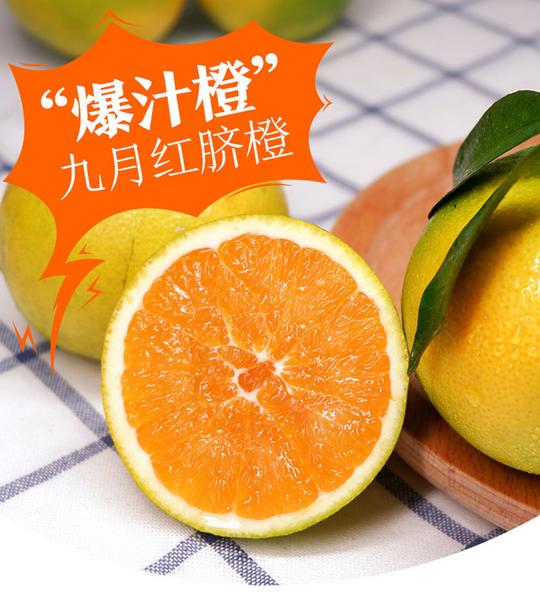 爆汁橙九月红皮薄多汁细腻化渣酸甜口感自家果园橙子现摘现发不