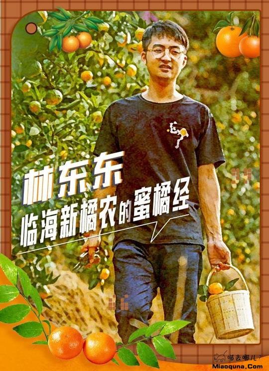 巧克力小镇”掌门“、养蜜蜂的”副教授“…快来看他们的乡村振兴路