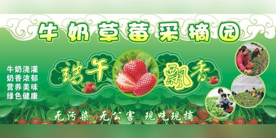 草莓采摘园,是一款广告设计矢量图素材,文件格式为cdr,源