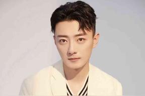 蘇小玎有哪些代表作品（蘇小玎是怎么走紅火的）