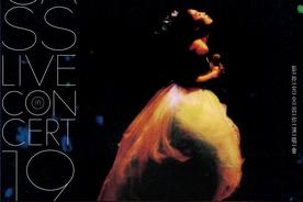 情在心中(JC 陈咏桐)