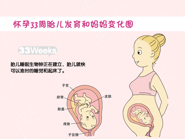 胎儿发育到33周,身体长度已经达到了45cm,体重大概2200g
