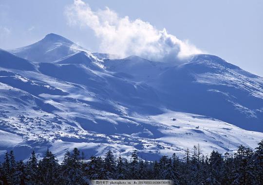 雪山下的树林高清风景图片雪山下的树林高清风景图片图片素材横构图