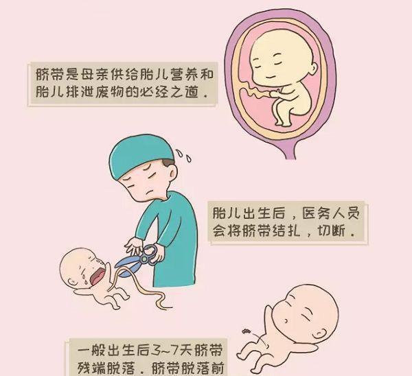 如何护理新生儿的肚脐