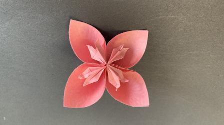 简单漂亮的花