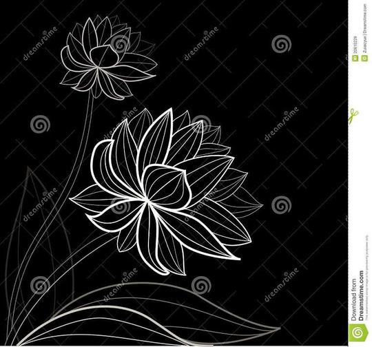 背景黑色花纹花样.