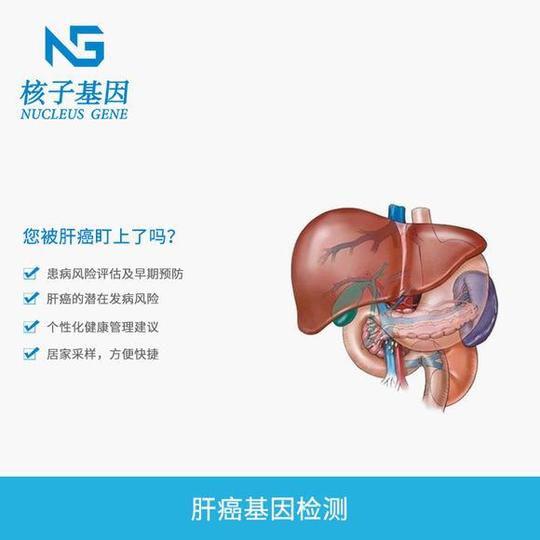 核子基因