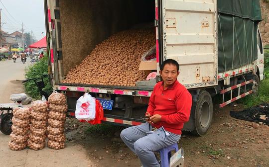 农村大哥开大货车卖核桃,1车净赚20000元,说出生意秘诀相信吗