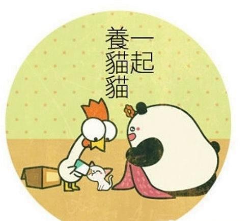 微信新表情是哪个版本