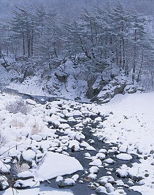 风景_雪_韩国_图片大全—全景创意图库（quanjing.com）中国领先的正版图片视频素材网站